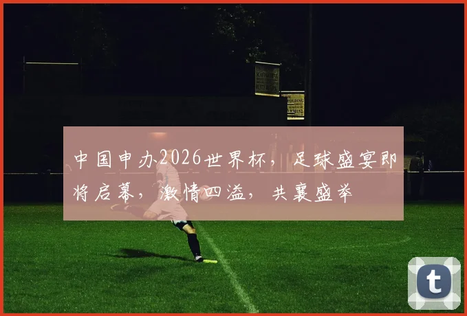 中国申办2026世界杯，足球盛宴即将启幕，激情四溢，共襄盛举