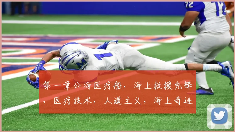 第一章公海医疗船，海上救援先锋，医疗技术，人道主义，海上奇迹，三重保障