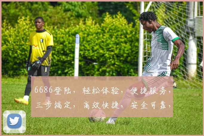 6686登陆，轻松体验，便捷服务，三步搞定，高效快捷，安全可靠，不容错过