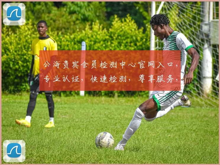 公海贵宾会员检测中心官网入口，专业认证，快速检测，尊享服务，三重保障，一网打尽